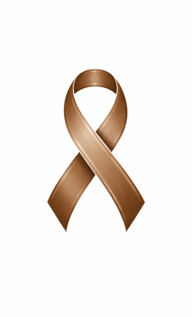 Brown awareness ribbon on white background